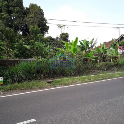 Dijual Tanah Murah di Desa Ciseutik Dekat Tugu Cagak Subang LT 3110m2