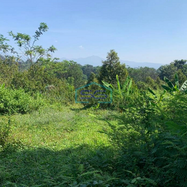 Dijual Tanah Luas Bisa Beli Sebagian Strategis di Pusat Kota Cianjur LT 27 Ha-2