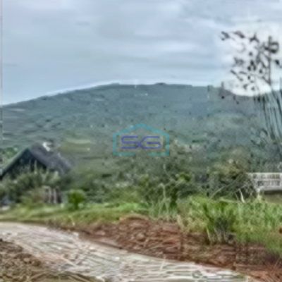 Dijual Tanah Luas + Kebun Duren Di Cijambe Kota Subang LT 90 Ha