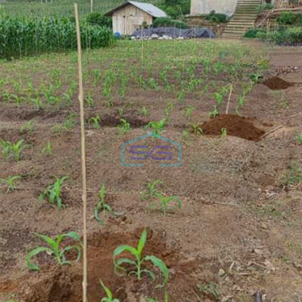 Dijual Tanah Murah Luas di Pinggir jalan Raya Kamojang Garut LT 17.5 Ha-1