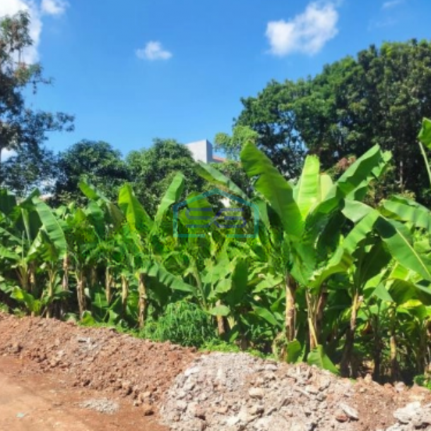 Dijual Tanah Luas 2000 m² Lokasi Gunung Pati Semarang-2