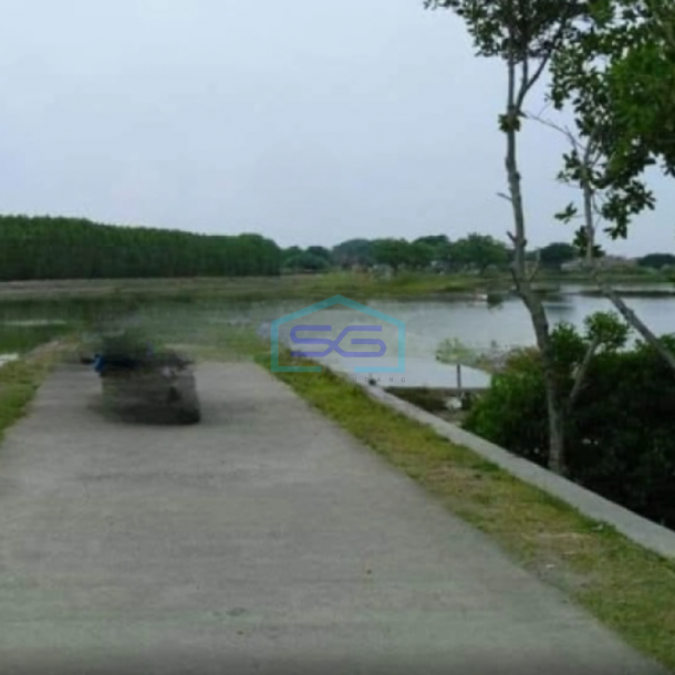 Dijual Tanah Luas  38909 m² Lokasi Demak Jawa Tengah-1