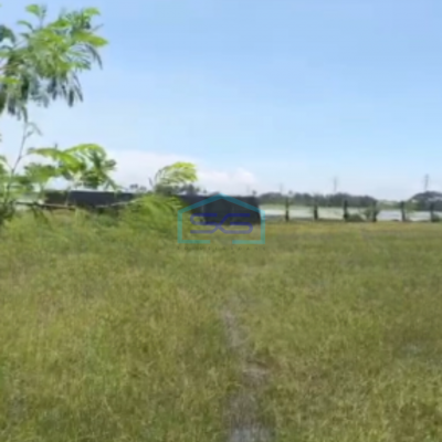 Dijual Tanah Luas 12116 m² Lokasi Pakuhaji Tangerang