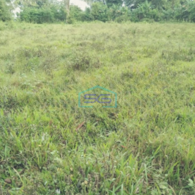 Dijual Tanah Murah Luas  4500 m² Lokasi Tangerang