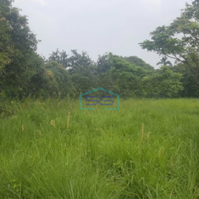 Dijual Tanah Luas 100000 m² Lokasi Pasar Kemis Tangerang