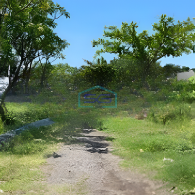 Dijual Tanah Murah Luas  9750 m² Lokasi Kerobokan Badung Bali