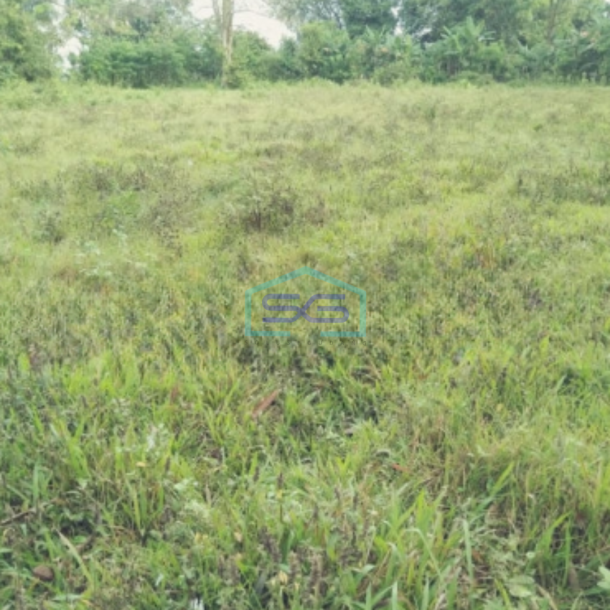 Dijual Tanah Murah Luas 4500 m² Lokasi di Tangerang-1