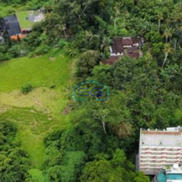 Dijual Tanah  Lokasi di Gianyar Bali Luas  5994 m²-1