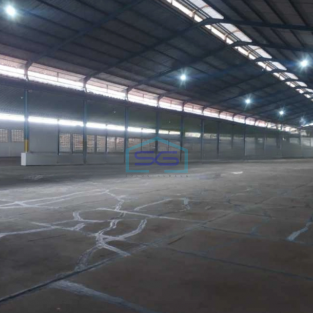 Disewakan Cepat Gudang Luas Bangunan  5000 m² Lokasi Rangkasbitung Lebak Banten-3