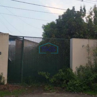 Disewakan Gudang Bagus Luas Tanah 915 m2 Lokasi Jember Jawa Timur