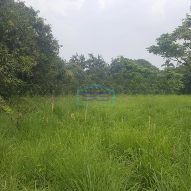 Dijual Tanah Luas 100000 m² Lokasi Pasar Kemis Tangerang-2