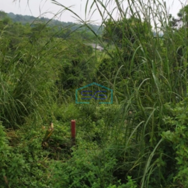 Dijual Tanah Kavling Luas 5891m2 di Jonggol Bogor Jawa Barat-1