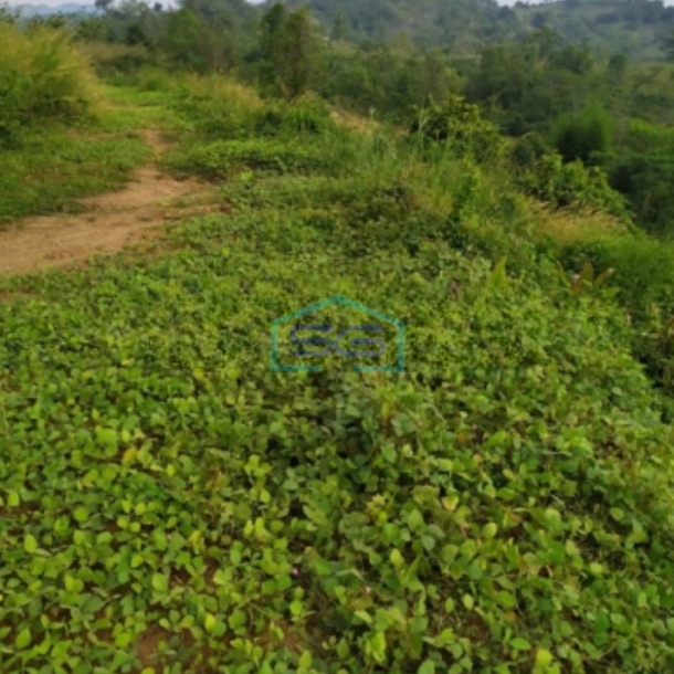 Dijual Tanah Kavling Luas 5891m2 di Jonggol Bogor Jawa Barat-3