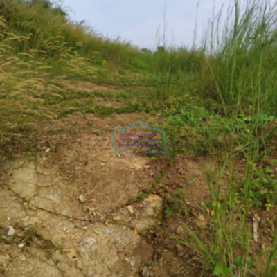 Dijual Tanah Kavling Luas 5891m2 di Jonggol Bogor Jawa Barat