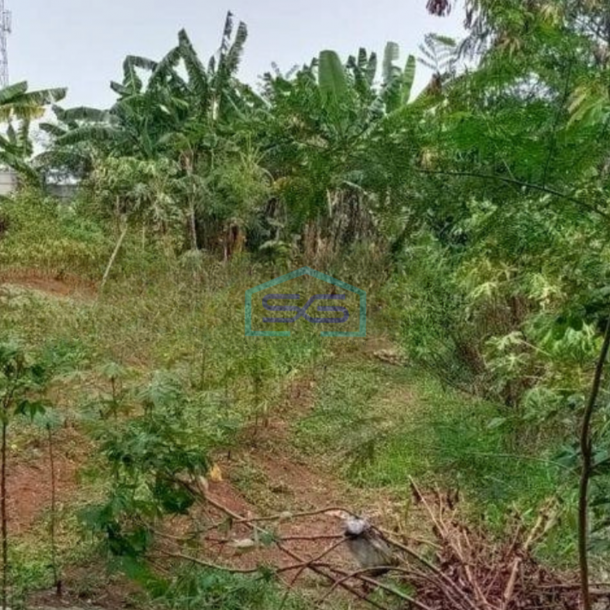 Disewakan Tanah Lokasi Strategis di Balaraja Tangerang Luas Tanah 20000 m²-1