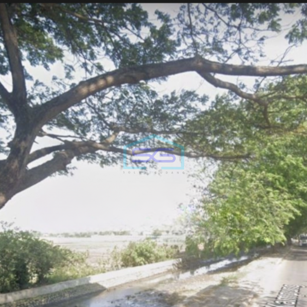 Dijual Tanah Luas 12000 m²  di Jalan Raya Babakan Tangerang-1