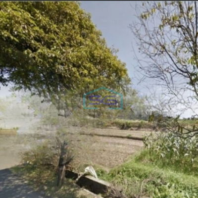 Djual Tanah Luas 19865 m²   di Pinggir Jalan Raya Ubud Gianyar