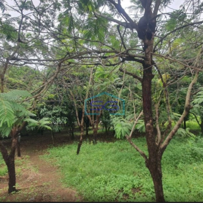 Dijual Tanah Luas 2600 m² Lokasi di Cikupa Tangerang