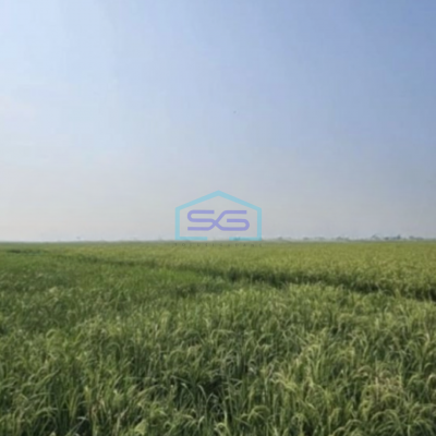 Dijual Tanah Luas 78000 m² di Mauk Tangerang