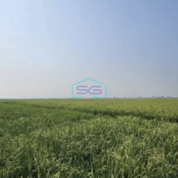 Dijual Tanah Luas 78000 m² di Mauk Tangerang-1