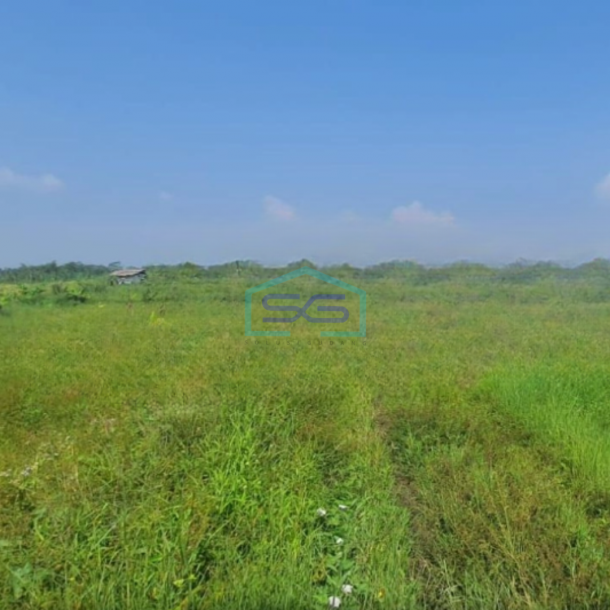 Dijual Tanah Luas 3275 m²  Lokasi Magelang-1