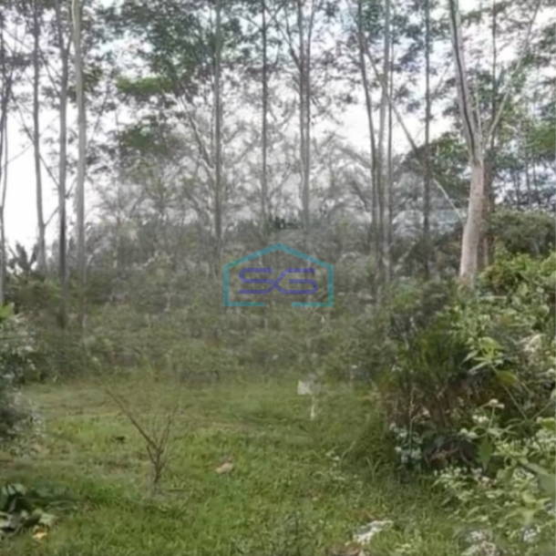 Dijual Tanah Luas 11000 m² Lokasi Kedungkandang Malang-1