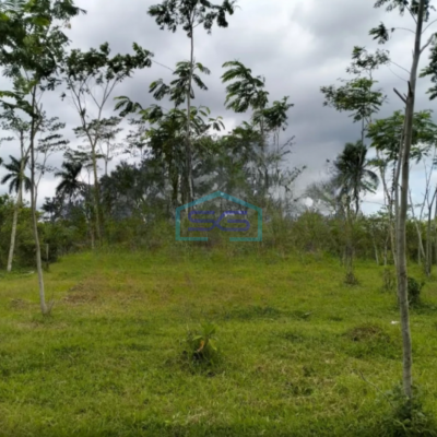 Dijual Tanah Luas 7320 m² Lokasi Bebas Banjir di Pakisaji Malang