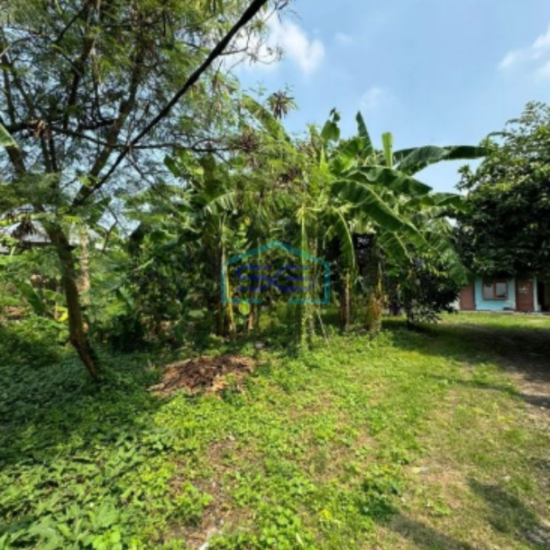 Dijual Tanah Kavling Gudang LT1165 m² HGB di Neglasari Tangerang-1
