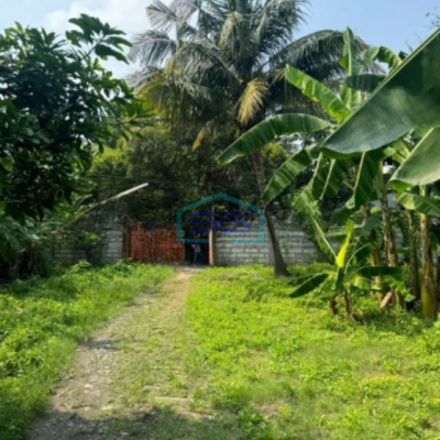 Dijual Tanah Kavling Gudang LT1165 m² HGB di Neglasari Tangerang