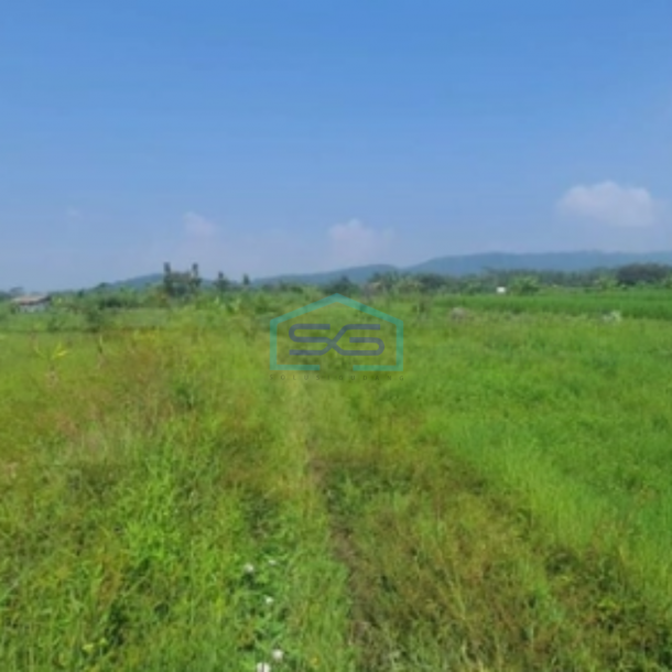 Dijual Segera Tanah 3275 m² SHM Bandongan Magelang Jawa Tengah-1