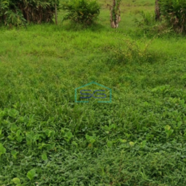 Dijual Tanah Luas 14826 m² Lokasi Tigaraksa Tangerang-1