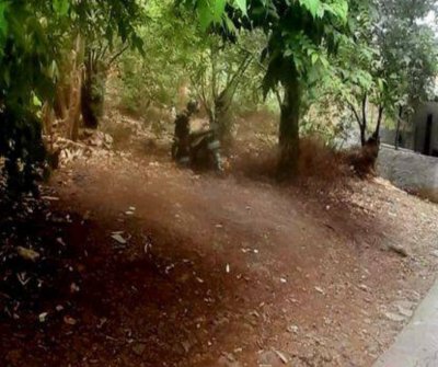 DIJUAL CEPAT TANAH DI KELAPA DUA DEPOK