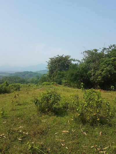 TANAH DIJUAL DI JONGGOL