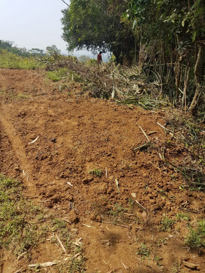 TANAH DIJUAL DI JONGGOL