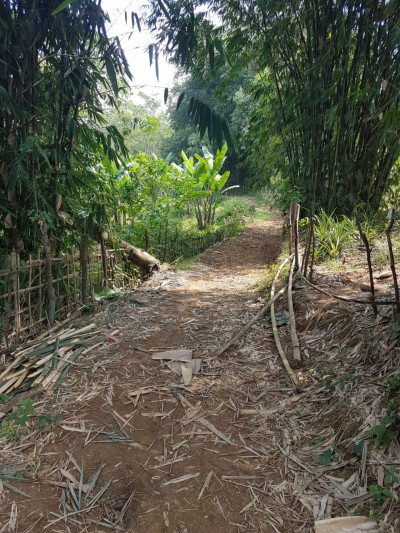 TANAH DIJUAL DI JONGGOL