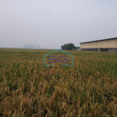 Dijual Tanah Komersil Zona Abu Abu Jalan Raya Mauk Tangerang SHM