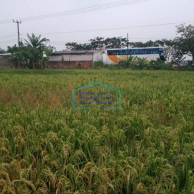 Dijual Tanah Komersil Zona Abu Abu Jalan Raya Mauk Tangerang SHM