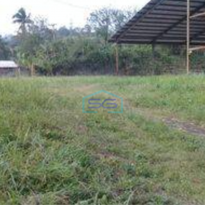 Dijual Tanah Akses Container 20 Feet di Cikenbar Sukabumi Luas Tanah  20570 m²