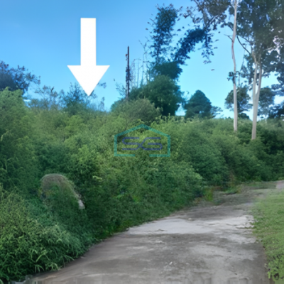 Dijual Tanah Lokasi Bebas Banjir di Ciajur Jawa Barat Luas 12835 m²