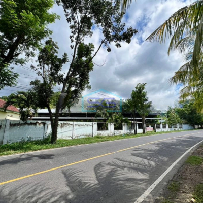 Dijual Tanah Luas 2000 m² SHM di Buleleng Bali