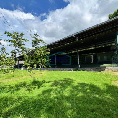 Dijual Tanah Luas 2000 m² SHM di Buleleng Bali