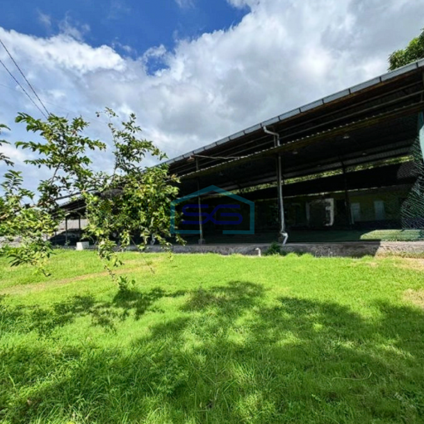 Dijual Tanah Luas 2000 m² SHM di Buleleng Bali-1