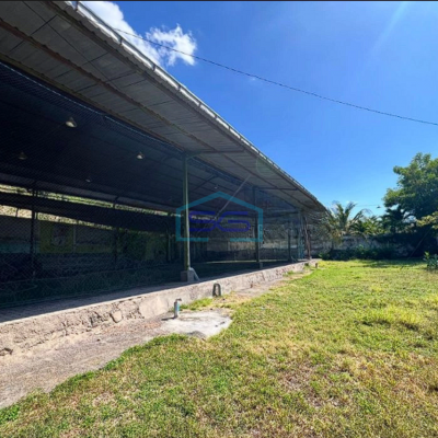 Dijual Tanah Luas 2000 m² SHM di Buleleng Bali