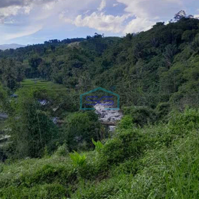 Dijual Tanah Di Sukaresmi Cianjur Luas 1.2 Ha Cocok Utk Investasi