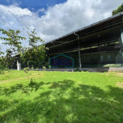 Dijual Tanah Luas 2000 m² Lokasi Buleleng Bali