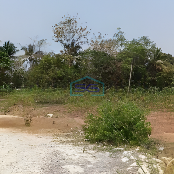 Dijual Tanah Strategis di Balaraja Tangerang Luas Tanah 10000m2-4