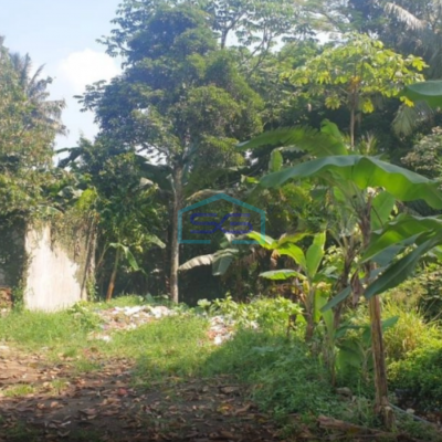 Dijual Tanah Lokasi Strategis di Jalan Utama di Ciawi Bogor Luas Tanah 2000m2