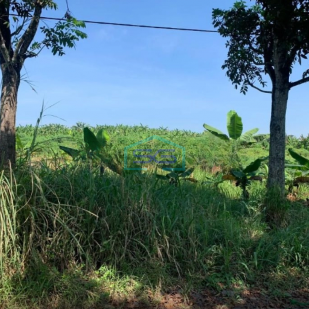 Dijual Tanah di Pusat Kota Cianjur Lokasi Strategis Jalan Lebar LT 27000m2-5