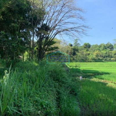 Dijual Tanah di Pusat Kota Cianjur Lokasi Strategis Jalan Lebar LT 27000m2