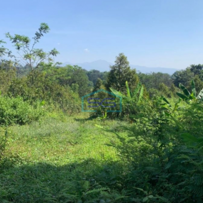 Dijual Tanah di Pusat Kota Cianjur Lokasi Strategis Jalan Lebar LT 27000m2